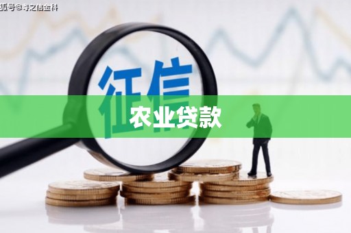 宣汉农业贷款