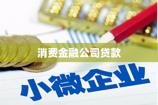 阳谷消费金融公司贷款