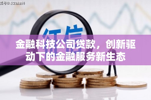 南平金融科技公司贷款，创新驱动下的金融服务新生态