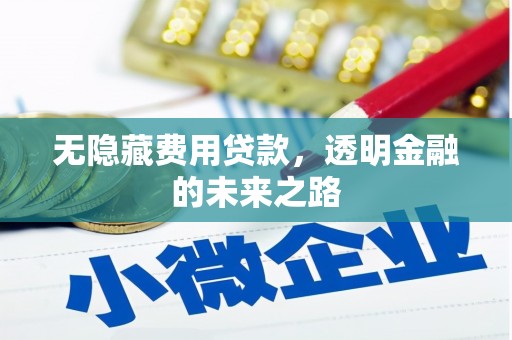 资兴无隐藏费用贷款，透明金融的未来之路