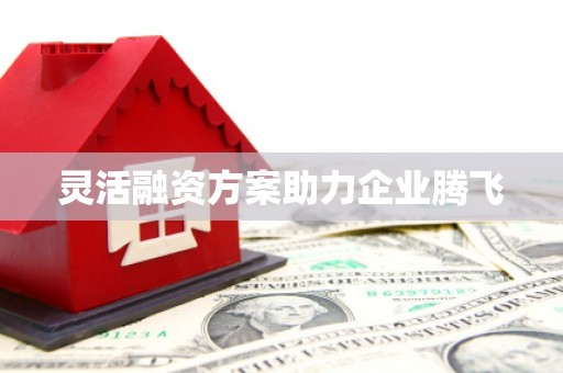 泾县灵活融资方案助力企业腾飞