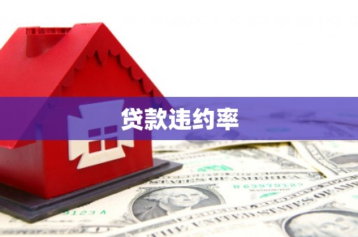 丰顺贷款违约率