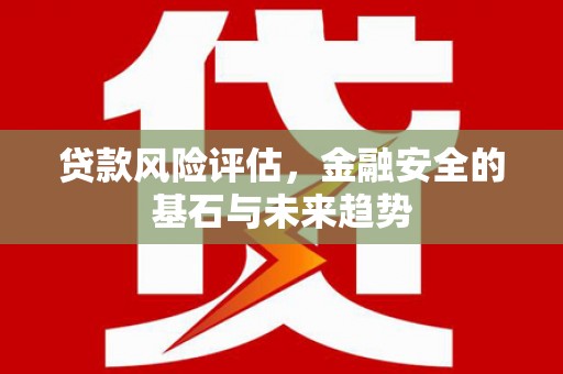 高要贷款风险评估，金融安全的基石与未来趋势