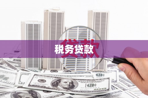 合山税务贷款