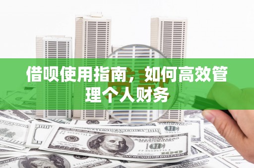 始兴借呗使用指南，如何高效管理个人财务