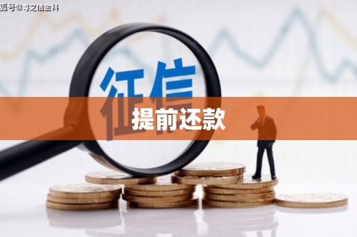 徐汇提前还款