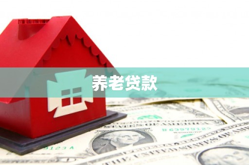 新市养老贷款