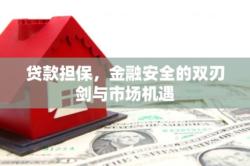 新都贷款担保，金融安全的双刃剑与市场机遇