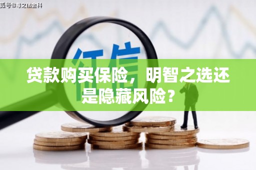 金安贷款购买保险，明智之选还是隐藏风险？