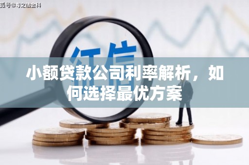 阜康小额贷款公司利率解析，如何选择最优方案