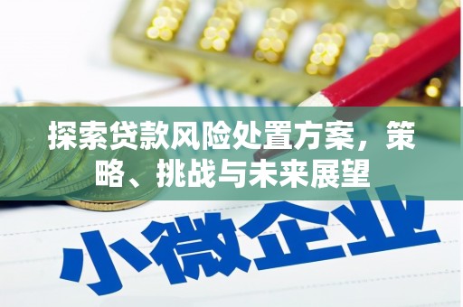 门源探索贷款风险处置方案，策略、挑战与未来展望