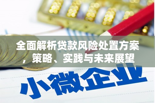 延平全面解析贷款风险处置方案，策略、实践与未来展望