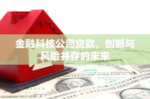 海端金融科技公司贷款，创新与风险并存的未来