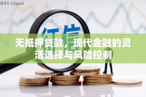 大丰无抵押贷款，现代金融的灵活选择与风险控制