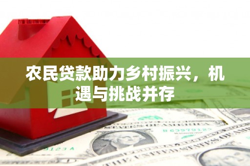 江干农民贷款助力乡村振兴，机遇与挑战并存