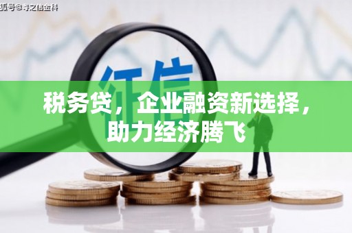 横山税务贷，企业融资新选择，助力经济腾飞