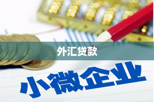 乌当外汇贷款