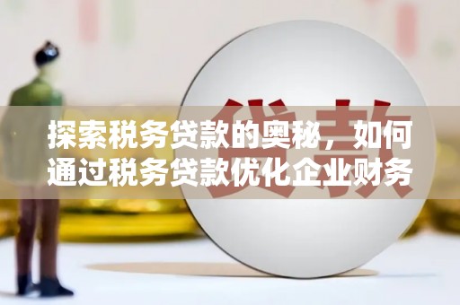 亭湖探索税务贷款的奥秘，如何通过税务贷款优化企业财务