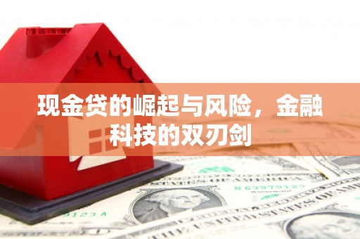 冈山现金贷的崛起与风险，金融科技的双刃剑