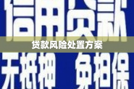 汾西贷款风险处置方案