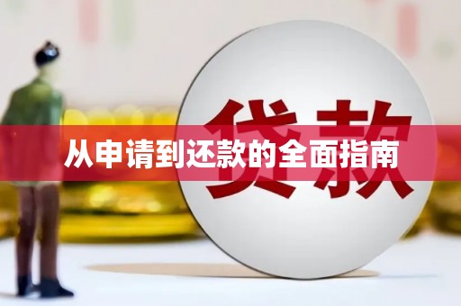 巴青从申请到还款的全面指南