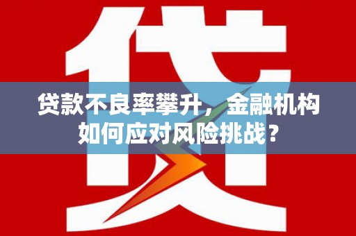 弥陀贷款不良率攀升，金融机构如何应对风险挑战？