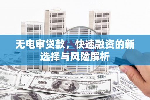 工业园区无电审贷款，快速融资的新选择与风险解析