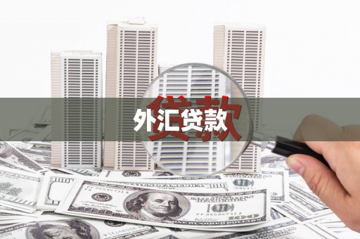 岚皋外汇贷款