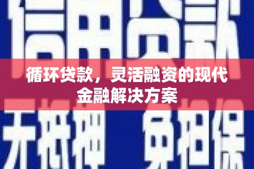 卓尼循环贷款，灵活融资的现代金融解决方案