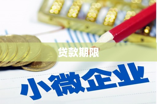 应县贷款期限
