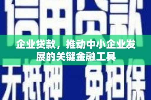 西昌企业贷款，推动中小企业发展的关键金融工具