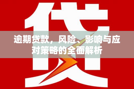嵩县逾期贷款，风险、影响与应对策略的全面解析