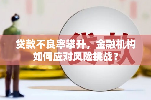 新郑贷款不良率攀升，金融机构如何应对风险挑战？