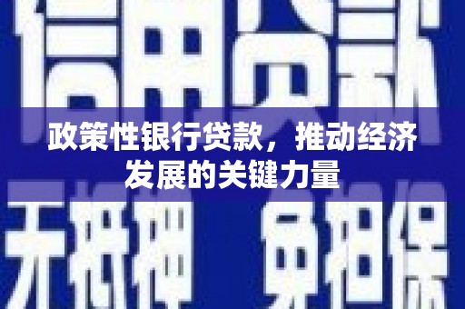 平谷政策性银行贷款，推动经济发展的关键力量