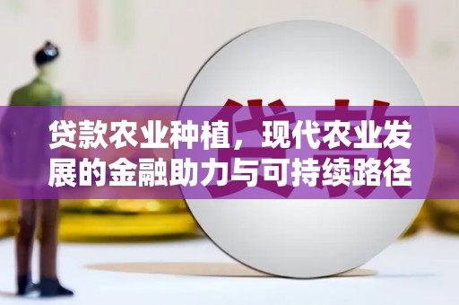 美兰贷款农业种植，现代农业发展的金融助力与可持续路径