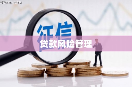 梧州贷款风险管理