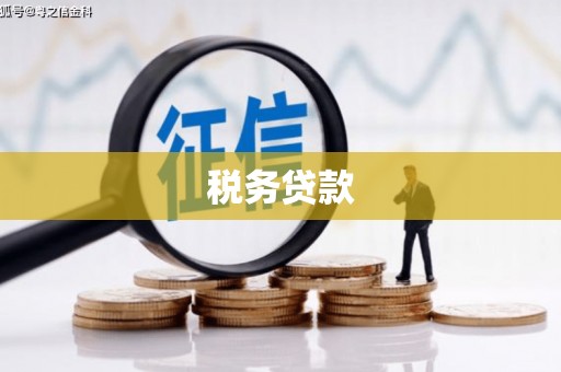 武隆税务贷款