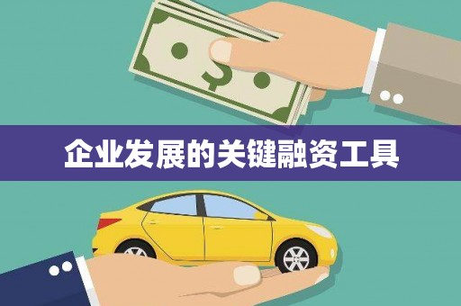 漾濞企业发展的关键融资工具