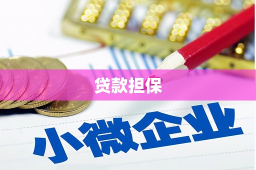纳雍贷款担保