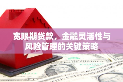 吴桥宽限期贷款，金融灵活性与风险管理的关键策略