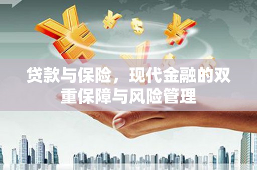会同贷款与保险，现代金融的双重保障与风险管理
