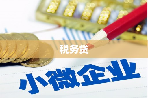 宽甸税务贷