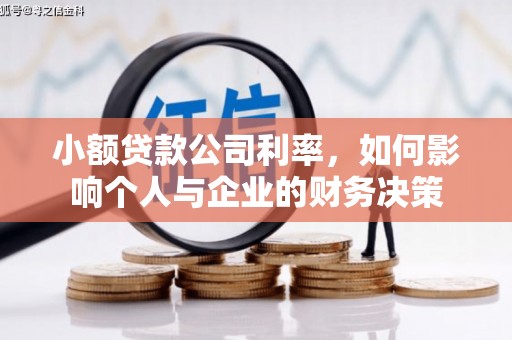 城关小额贷款公司利率，如何影响个人与企业的财务决策