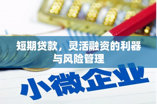 板芙短期贷款，灵活融资的利器与风险管理