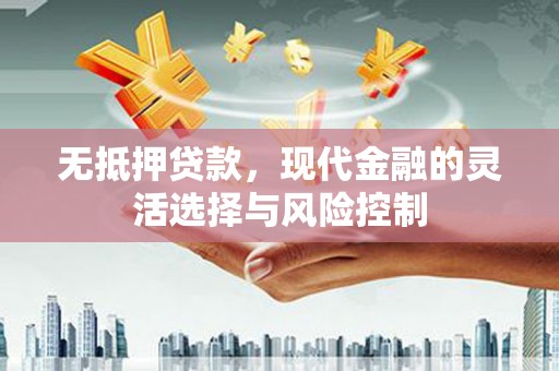 将乐无抵押贷款，现代金融的灵活选择与风险控制