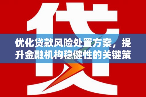 南郊优化贷款风险处置方案，提升金融机构稳健性的关键策略