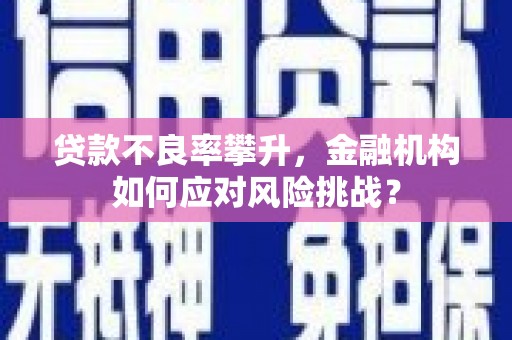 泽普贷款不良率攀升，金融机构如何应对风险挑战？