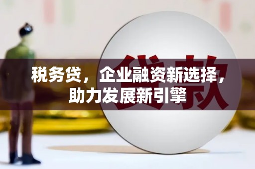 桦甸税务贷，企业融资新选择，助力发展新引擎