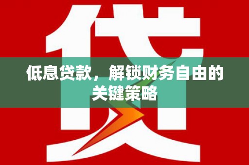 瀍河低息贷款，解锁财务自由的关键策略