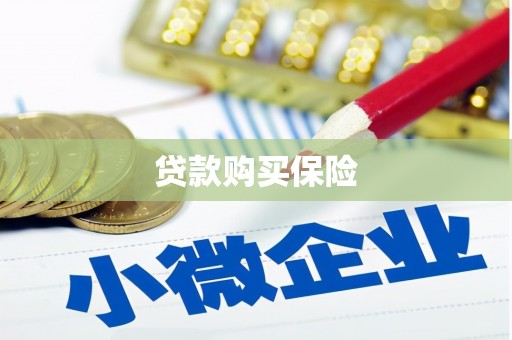 普洱贷款购买保险